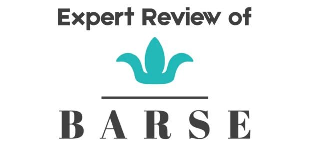 Barse Jewelry Review