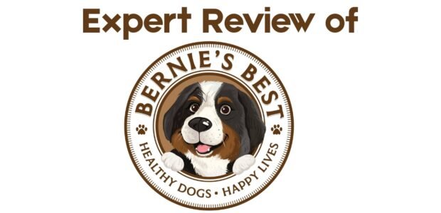 Bernie's Best Review