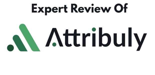 Attribuly Review