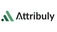 Attribuly Coupon Code